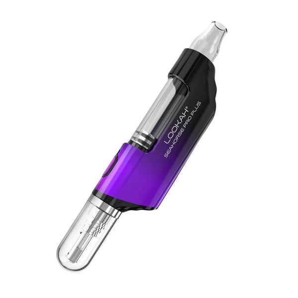 purple-black